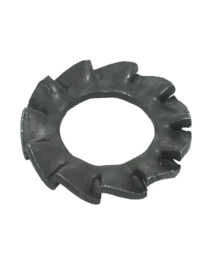 RONDELLE DENTELLATE ESTERNE GREZZE