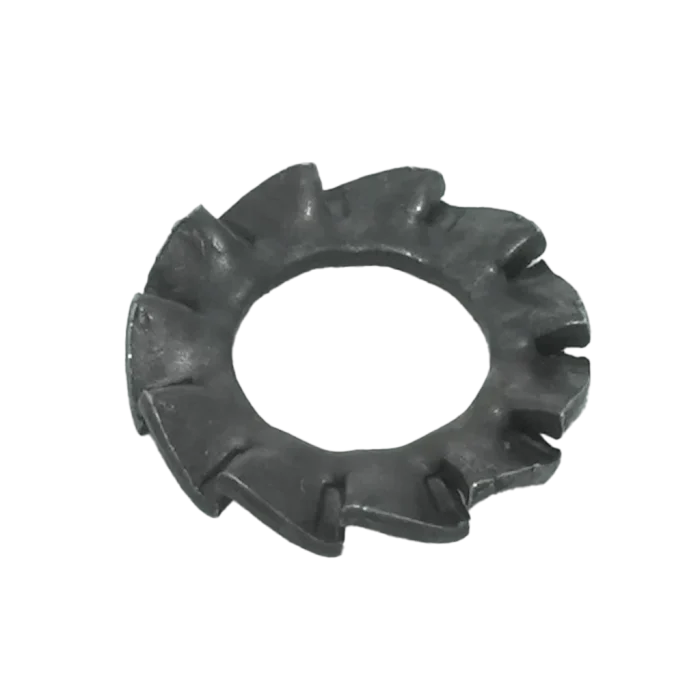 RONDELLE DENTELLATE ESTERNE GREZZE