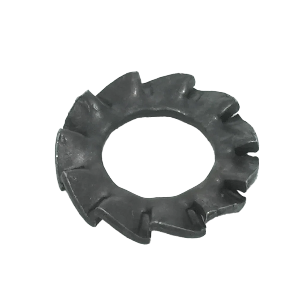 RONDELLE DENTELLATE ESTERNE GREZZE