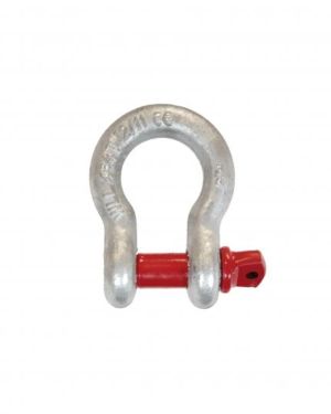 GRILLI A CUORE ALTA RESISTENZA