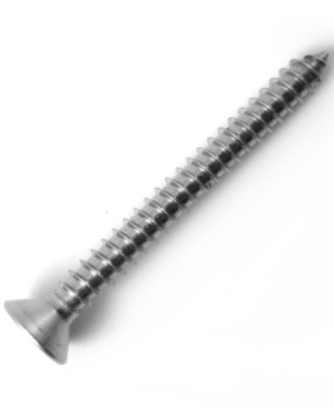 VITI AUTOFILETTANTI TESTA SVASATA PIANA INOX