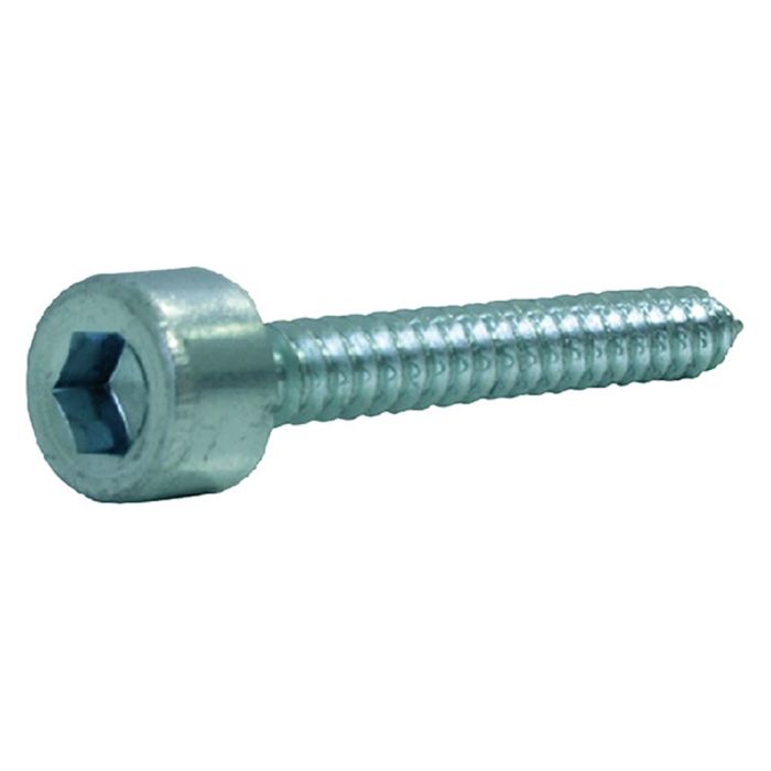 VITI AUTOFILETTANTI TESTA CILINDRICA ESAGONO INCASSATO ZINCATE