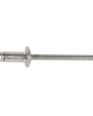 Rivetti a strappo standard testa cilindrica – Acciaio / Acciaio