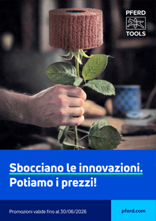 Pferd Volantino 2026